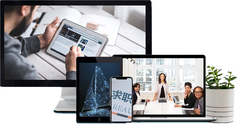 z6���������ǲ�(�й���)�������